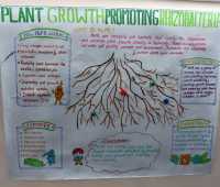 WhatsApp-Image-2026-02-23-at-08.57.03-1