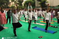 Yoga Day 2021
