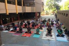 Yoga day  celebration  2019